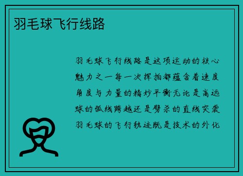 羽毛球飞行线路